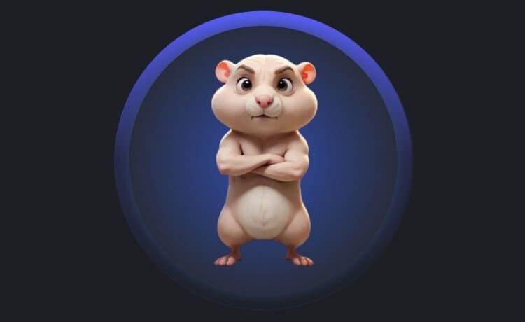 Qué pasará en la segunda temporada de Hamster Kombat, y si tiene sentido seguir jugando al hámster. ¿Volverán a afeitarse o lo llenarán como debe ser? Foto.